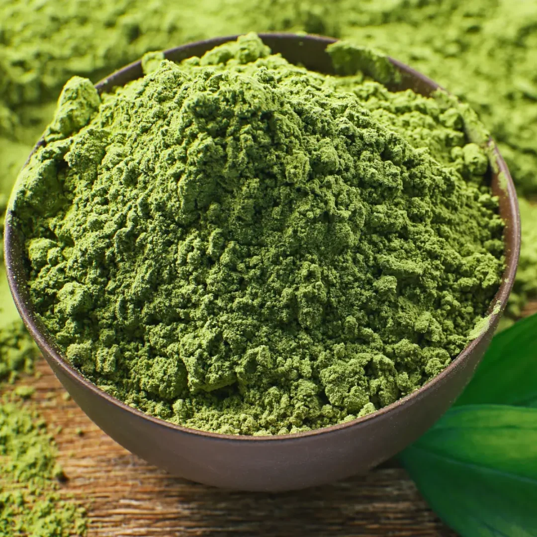 Pudina Powder